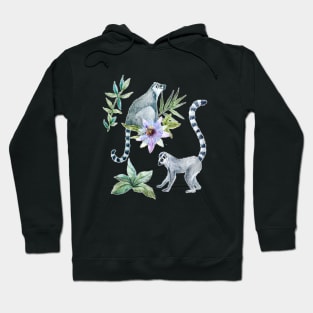 lemur Madagascar animal Hoodie